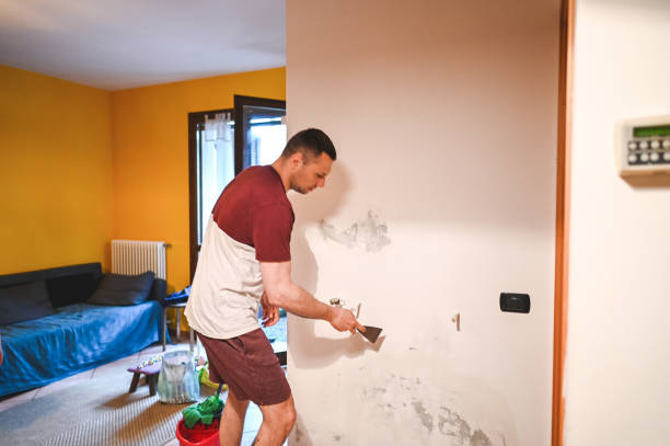 Best Mold Testing and Inspection Services in Center Point, AL